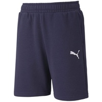 Puma teamGOAL 23 Casuals Shorts Jr peacoat (06) 152