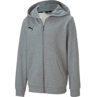 Puma teamGoal 23 Casuals Hooded Jacket Youth (656714)