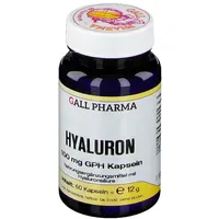Hecht Pharma Hyaluron 100 mg GPH Kapseln 60 st