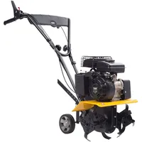 TEXAS Benzin-Motorhacke Lilli345TG