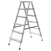 Günzburger Standard-Stehleiter 2 x 6 Stufen (11166)