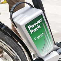 E-Bike Vision Raleigh Leeds Roller 20 Ah Powerpack E-Bike
