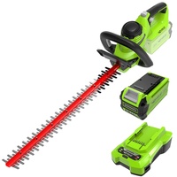 Greenworks G40HTK2 inkl. 1 x 2 Ah