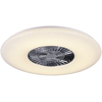 Trio Visby-R62402906 59 cm Deckenventilator mit Licht inl. Fernbedienung