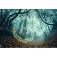Architects Paper Fototapete Atelier 47 Symbol Forest 1, Wald