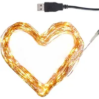 Clauss Mini-Lichterkette mit USB 100 LEDs warmweiß 10 m