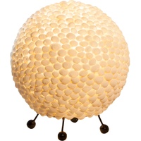 ETC Shop Muschel Tisch Lampe Wohn Schlaf Zimmer Beleuchtung