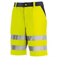 Big Arbeitsschutz teXXor Erie 50