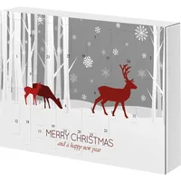 MacMa Adventskalender / Weihnachtskalender mit Werkzeug