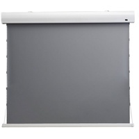Celexon HomeCinema Tension 221 x 124 cm 100 -