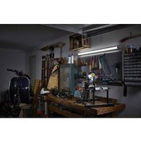 LEDVANCE LED Power Batten 1200 mm 24 W 3000