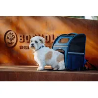 Nobby Rana 32 x 25 x 42 cm Blau