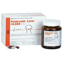 Laves-Arzneimittel GmbH Pankreatin Laves 10.000 Ph.Eur.-Einheiten