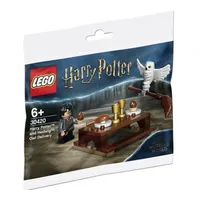 Lego Harry Potter and Hedwig Eulenlieferung 30420