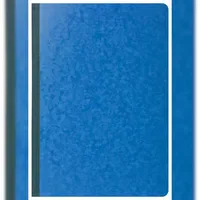 Exacompta Geschäftsbuch gebunden 40 Blatt, 110g, DIN A4, kariert