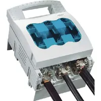 Wöhner Trennschalter 33601