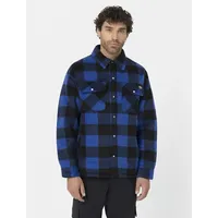 Dickies Portland SH5000 (XXL)