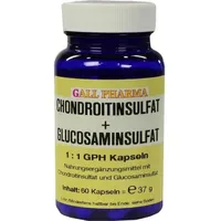 Hecht Pharma Chondroitinsulfat+Glusosaminsulfat 1:1 GPH Kapseln 60 st