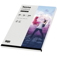 Inapa tecno colors A4 80 g/m2 100 Blatt grau