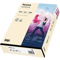 Inapa tecno colors A4 160 g/m2 250 Blatt hellchamois