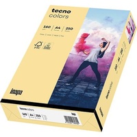 Inapa tecno colors A4 160 g/qm 250 Blatt chamois