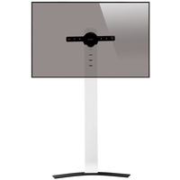 ERARD Standit Pro (Universal, 90", 50 kg), TV Ständer,