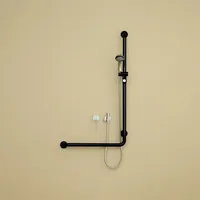 Hewi Serie 801 Winkelgriff mit Brausehalter 600 mm tiefschwarz