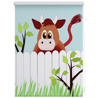 Lichtblick Rollo Klemmfix, 90x150 cm