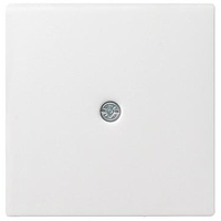 Gira Zentraleinsatz rws-gl f.Schnurableitung 027403