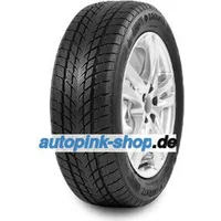 Davanti Wintoura 215/65 R16 102H BSW XL