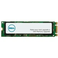 Dell Class 20 256 GB M.2