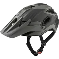 Alpina Rootage Fahrradhelm (Größe 52-57CM, grau)
