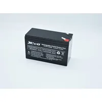 XCell 12.8-6 Spezial-Akku LiFePo-Block Flachstecker LiFePO 4 12.8V 6000