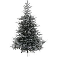 Amicasa Weihnachtsbaum Grandis Fir PE/PVC 180cm,grün/weiss