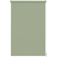 GARDINIA Rollo Uni, Mintgrün, 45 x 150 cm (BxH)