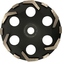 Flex Diamant-Schleifteller E-Jet D180 22.2
