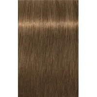 Schwarzkopf Professional Igora Royal Absolutes 9-460 extra hellblond beige