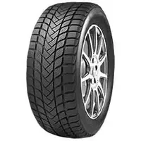 Mastersteel WinterPlus1 195/55 R16 87H