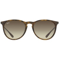 Ray Ban Erika RB4171 865/13 54-18 havana-gunmetal/brown gradient