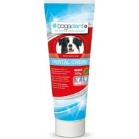 WERNER SCHMIDT PHARMA Dental Creme Mint vet. 100 g
