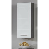 Trendteam Hängeschrank Line in Sardegna grau Rauchsilber Badschrank 30