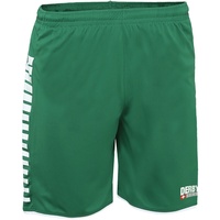 Derbystar Hyper Shorts Kinder grün/weiß 140