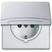 Busch-Jaeger Schuko-Steckdoseneinsatz 20 EUGKB-33-101