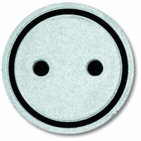 Busch-Jaeger 2144 ST Abtastbares Symbol Steckdose,