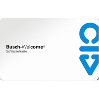 Busch-Jaeger 83173 Schlüsselkarte