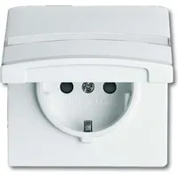 Busch-Jaeger Schuko-Steckdoseneinsatz 20 EUGKBN-34-101