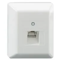 Rutenbeck Anschlußdose UAE 8(8) Ap rw