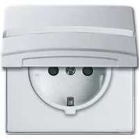 Busch-Jaeger Schuko-Steckdoseneinsatz 20 EUGKBN-33-101