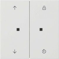 Gira Bedienaufsatz Memory rws 5363112