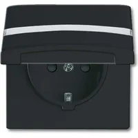 Busch-Jaeger Schuko-Steckdoseneinsatz 20 EUGKBN-35-101